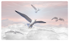 DNSEMP-C-101-PK Journey Home Clouds Birds Pink